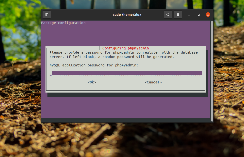 Установка PhpMyAdmin с Nginx в Ubuntu 20.04